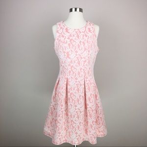 Miami Lace Overlay Structured Dress Peachy Coral M